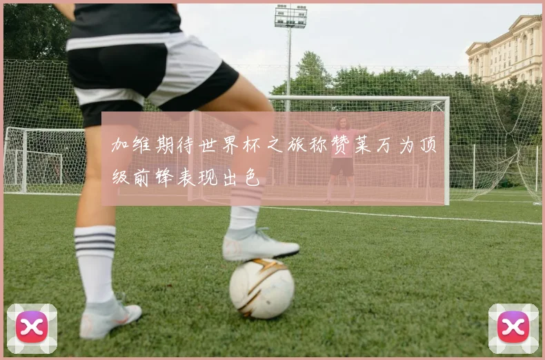 加维期待世界杯之旅称赞莱万为顶级前锋表现出色